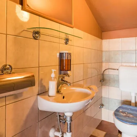 Apartment In With Outdoor Swimming Pool Pula